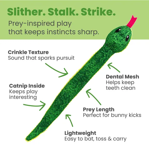 Catstages Kicker Constrictor 蟒蛇造型踢咬貓玩具（綠） 3