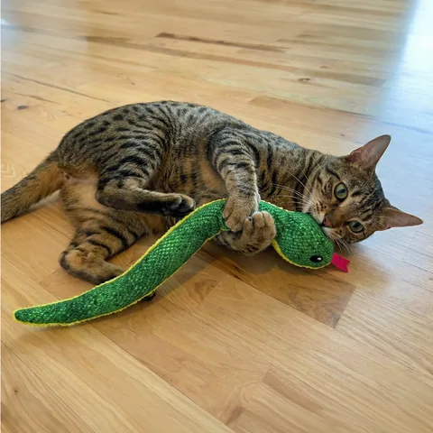 Catstages Kicker Constrictor 蟒蛇造型踢咬貓玩具（綠） 5