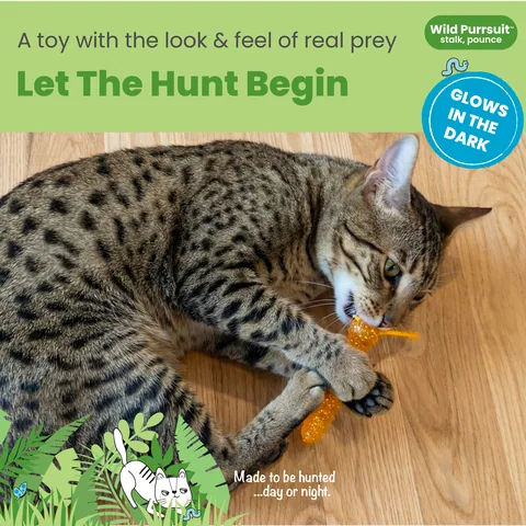 Catstages Squish Prey 毛毛蟲造型貓玩具（橘） 2