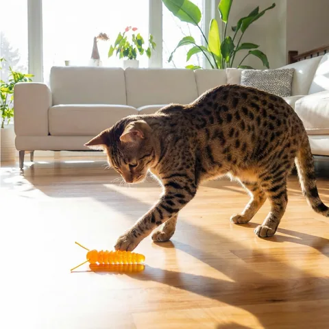Catstages Squish Prey 毛毛蟲造型貓玩具（橘） 5