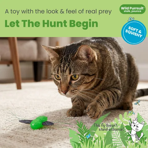 Catstages Squish Prey 蒼蠅造型貓玩具（綠） 2