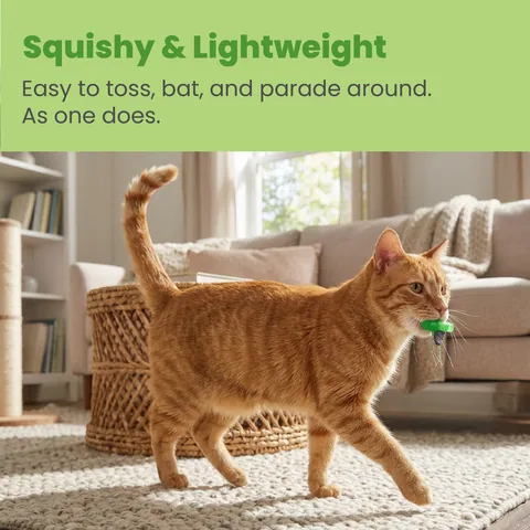 Catstages Squish Prey 蒼蠅造型貓玩具（綠） 4