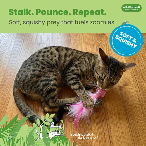 Catstages Squish Prey 魷魚造型貓玩具（粉） 2