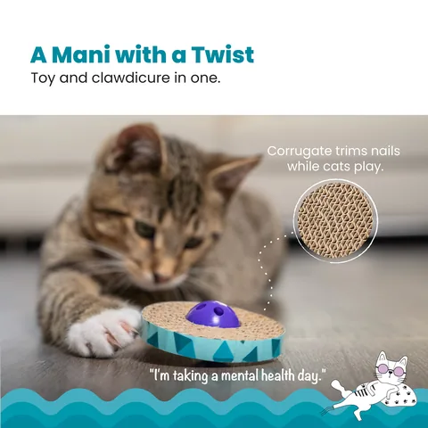 Catstages Spin & Scratch Cat Scratcher – Blue 2