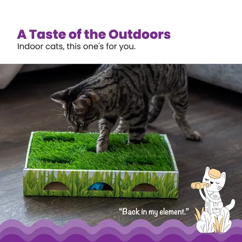 Catstages Grass Patch Hunting Box 貓咪尋寶獵遊盒（綠） 2