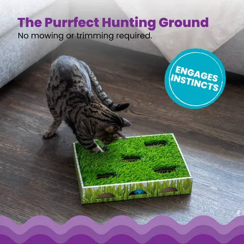 Catstages Grass Patch Hunting Box 貓咪尋寶獵遊盒（綠） 3