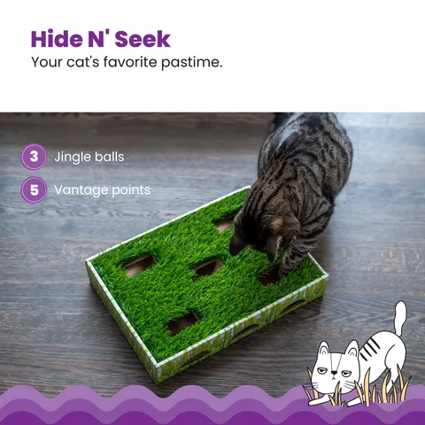 Catstages Grass Patch Hunting Box 貓咪尋寶獵遊盒（綠） 4