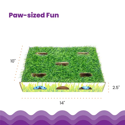Catstages Grass Patch Hunting Box 貓咪尋寶獵遊盒（綠） 5