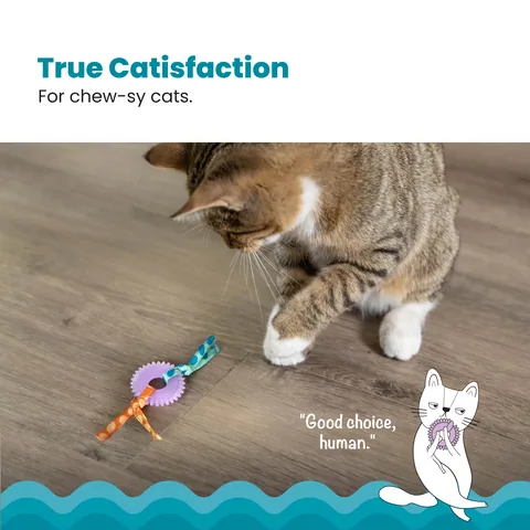 Catstages Kitty Chew Wheel – Purple 2