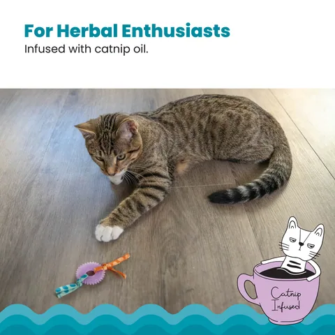Catstages Kitty Chew Wheel – Purple 4