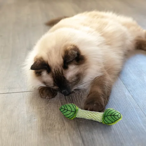 Catstages Fresh Breath Mint Stick 清新薄荷棒 2