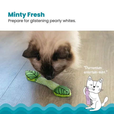 Catstages Fresh Breath Mint Stick 清新薄荷棒 4
