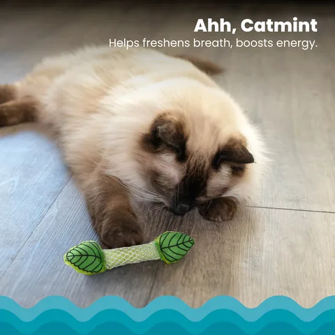 Catstages Fresh Breath Mint Stick 清新薄荷棒 5