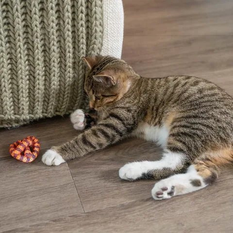 貓草潔牙脆餅 Catnip Plaque Away Pretzel|貓咪聞香、拍撥與輕咬玩具 2