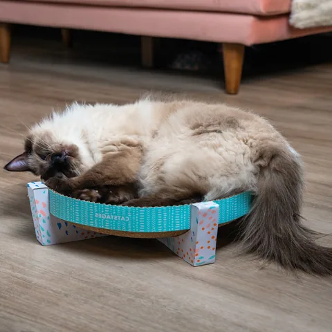 Catstages Scratch, Snuggle & Rest Cat Scratcher – Multicolor 2