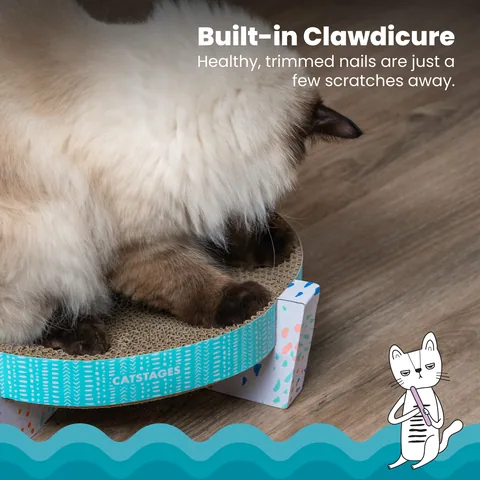 Catstages Scratch, Snuggle & Rest Cat Scratcher – Multicolor 5