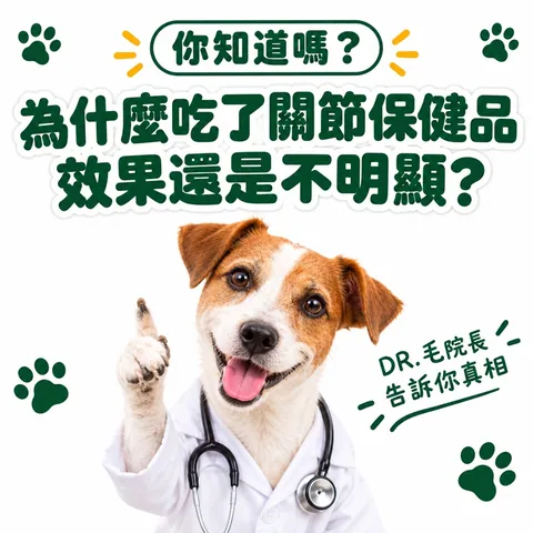 脫胎換骨保健粉(30包/盒) 3