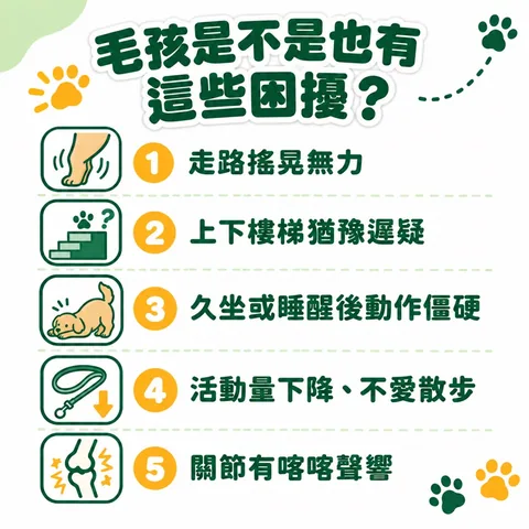 脫胎換骨保健粉(30包/盒) 4