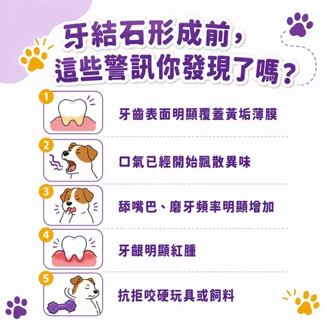口齿清新保健粉（30包／盒） 5