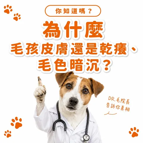 毛光焕发保健粉（30包／盒） 3