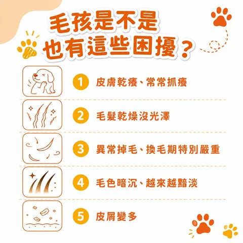 毛光焕发保健粉（30包／盒） 4