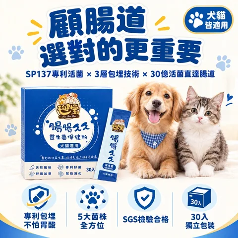 腸腸久久益生菌（30包／盒）