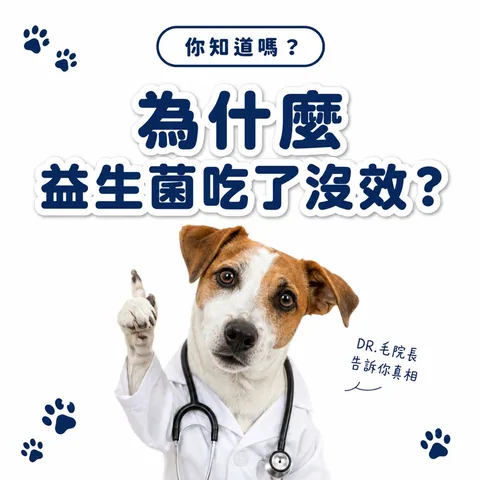 肠肠久久益生菌（30包／盒） 3