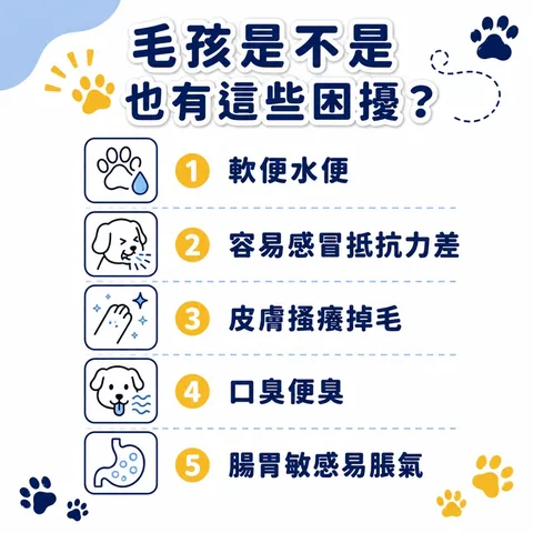 肠肠久久益生菌（30包／盒） 4