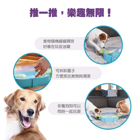 Nina Ottosson 貪吃狗互動益智挑戰台 LV2｜狗狗滑推藏食玩具 4