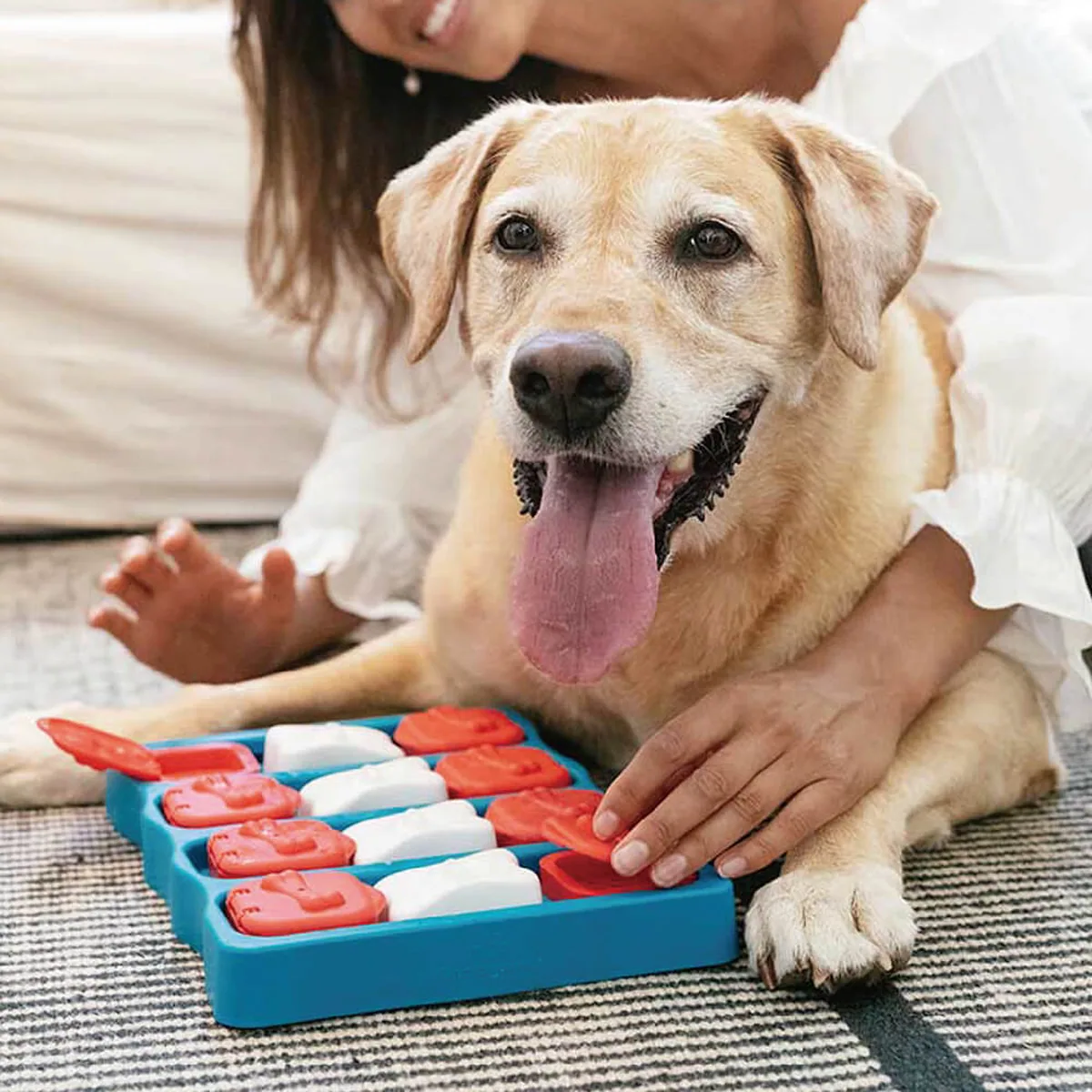 Nina Ottosson Dog Brick (8) Puzzle Toy – Blue