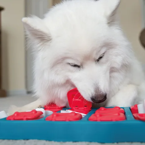 Nina Ottosson Dog Brick (8) Puzzle Toy – Blue 2