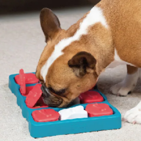 Nina Ottosson Dog Brick (8) Puzzle Toy – Blue 4