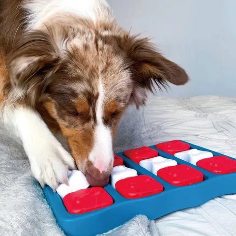 Nina Ottosson Dog Brick (8) Puzzle Toy – Blue 5