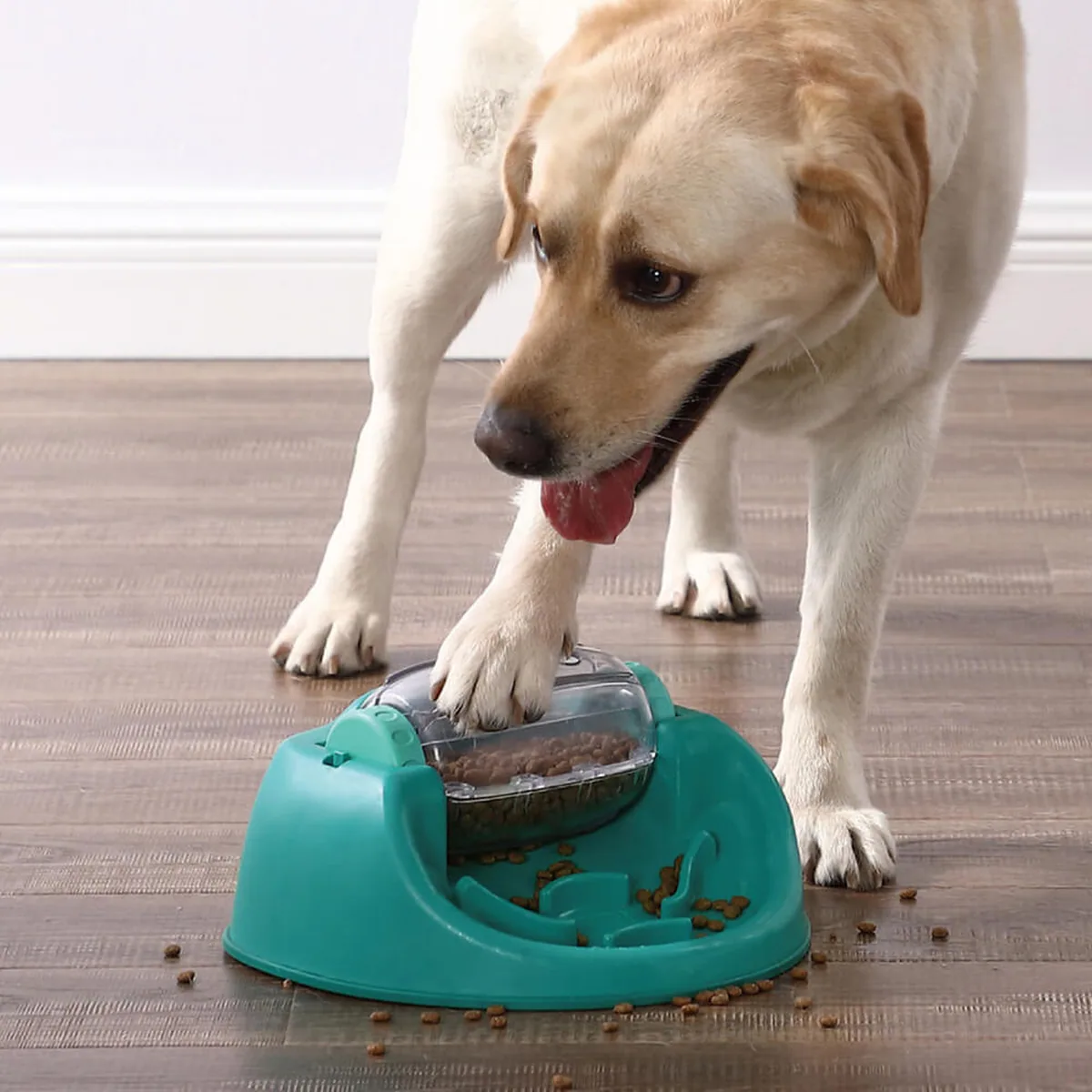 Nina Ottosson Dog Spin N' Eat Puzzle Toy – Green