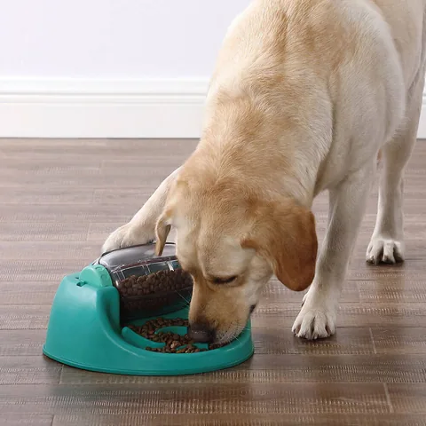 Nina Ottosson Dog Spin N' Eat Puzzle Toy – Green 2