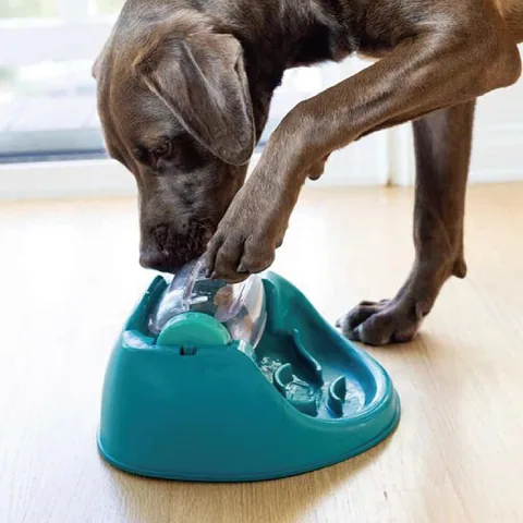 Nina Ottosson Dog Spin N' Eat Puzzle Toy – Green 4