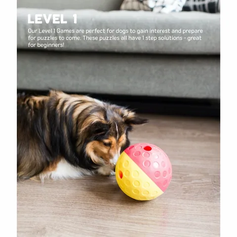 Nina Ottosson 貪吃狗益智翻滾球 LV1|狗狗入門藏食玩具 5