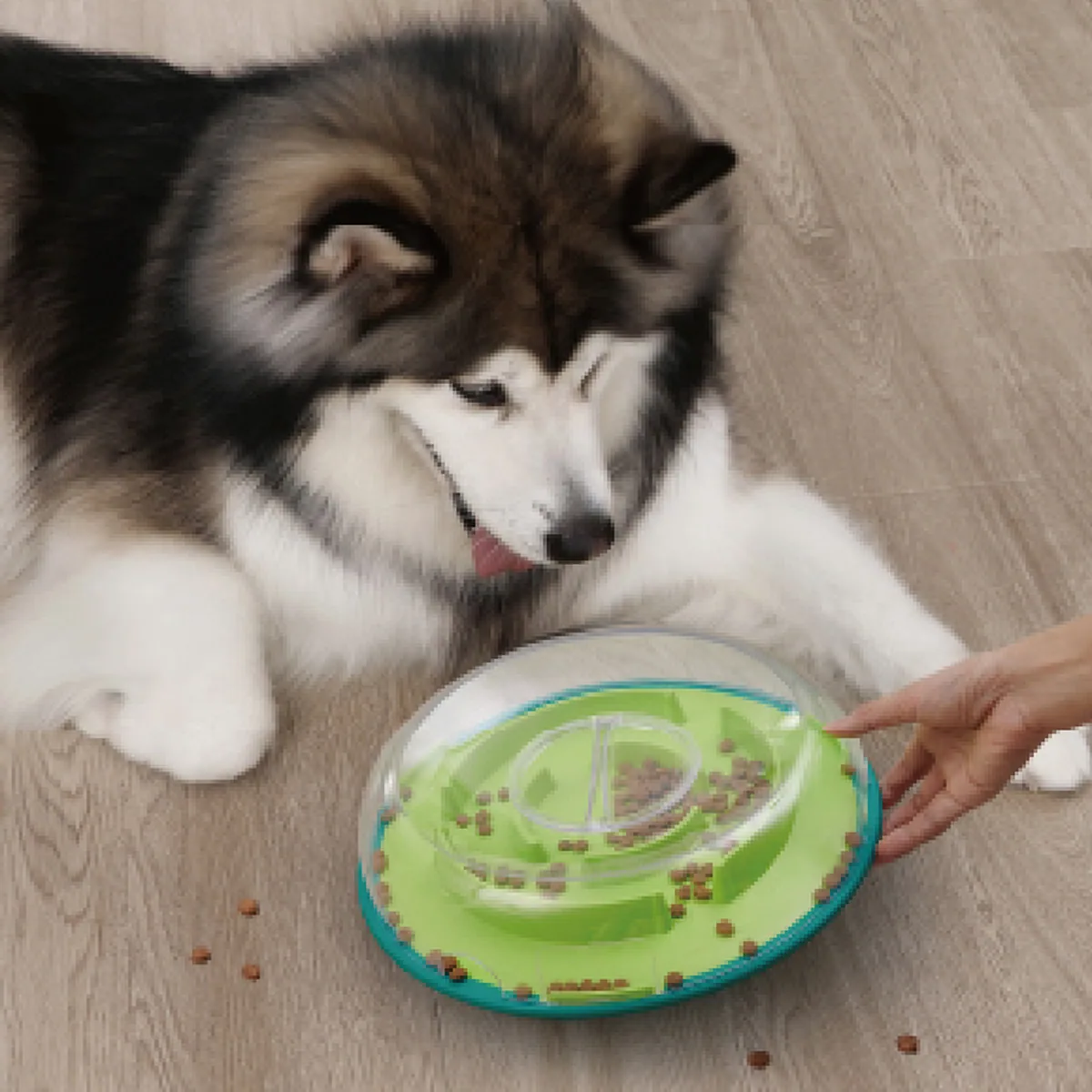 Nina Ottosson 貪吃狗搖擺慢食碗 LV1｜狗狗益智慢食玩具