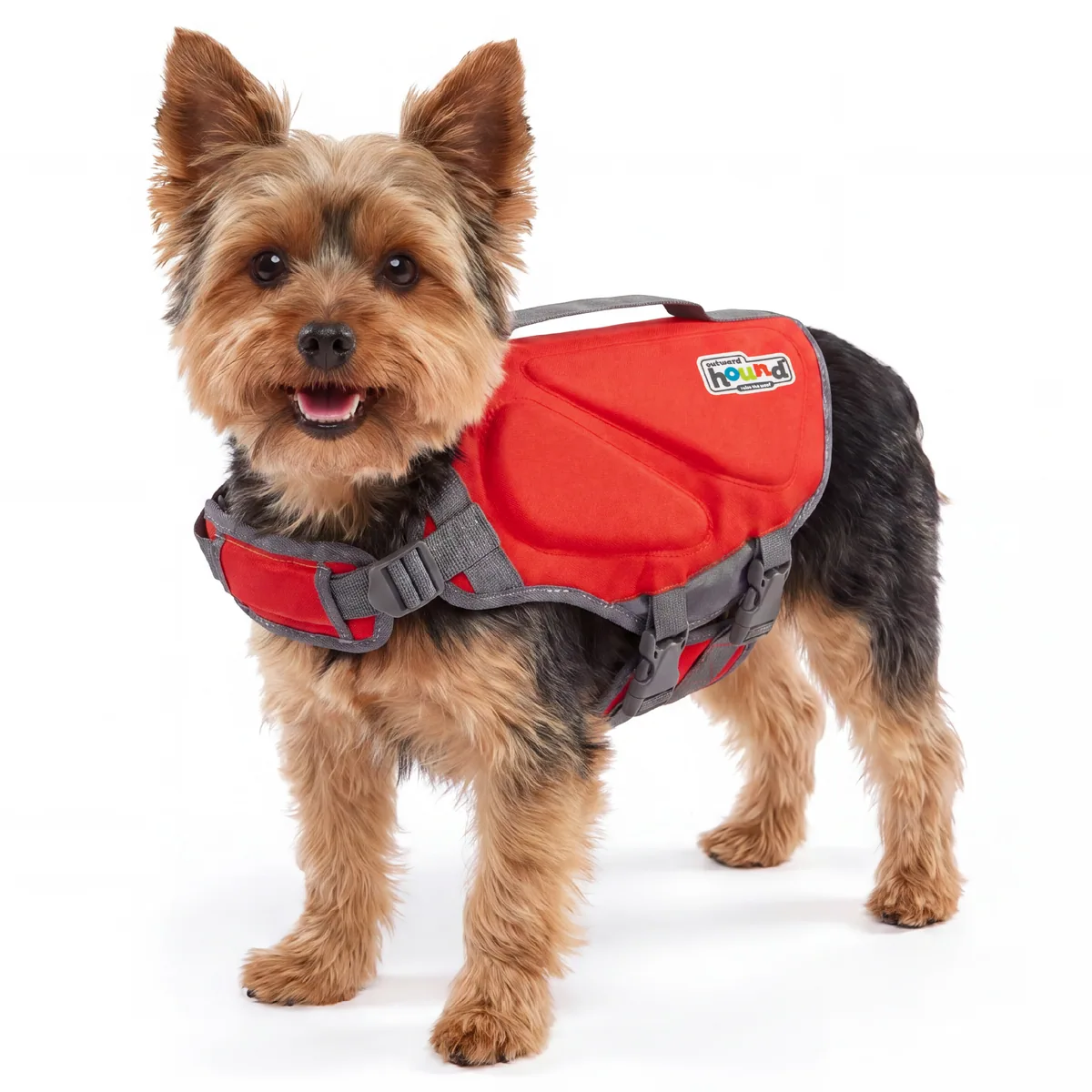 Outward Hound Dawson Swim 犬用救生衣（紅／XS）