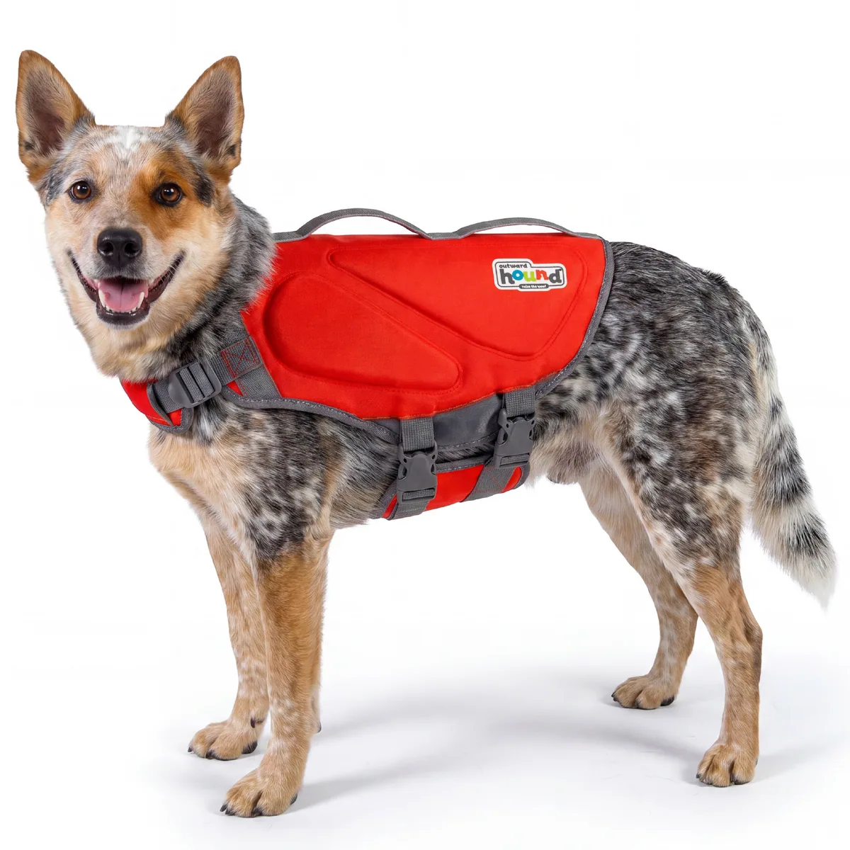 Outward Hound Dawson Swim 犬用救生衣（紅／M）
