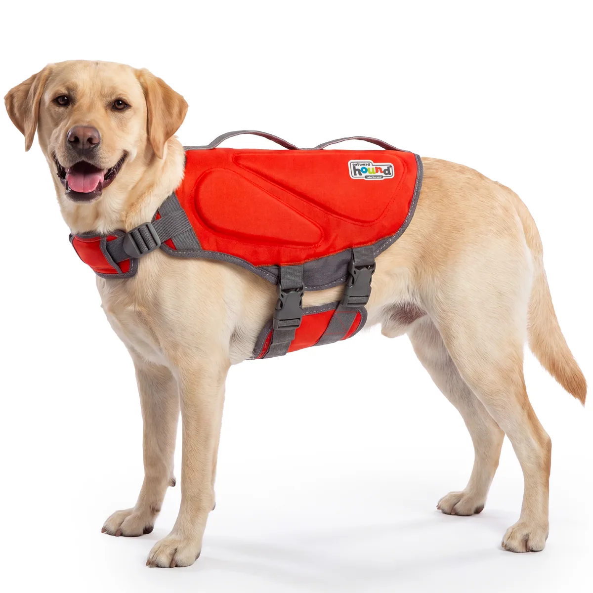 Outward Hound Dawson Swim 犬用救生衣（紅／L）