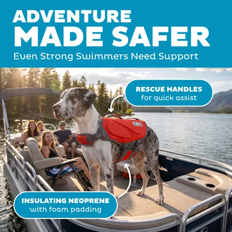 Outward Hound Dawson Swim 犬用救生衣（紅／XL） 2