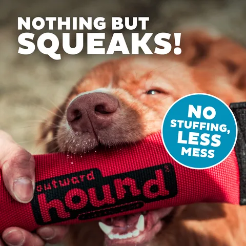 Outward Hound Firehose Fetch 消防水管拋接玩具（紅／M） 4