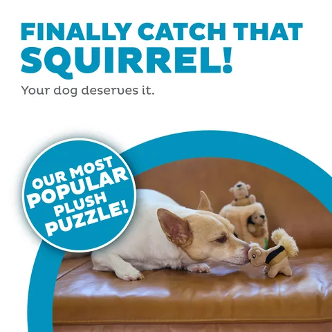 Outward Hound Hide A Squirrel 松鼠躲貓貓解謎玩具（棕／S） 2