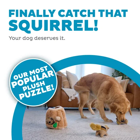 Outward Hound Hide A Squirrel 松鼠躲貓貓解謎玩具（棕／L） 2