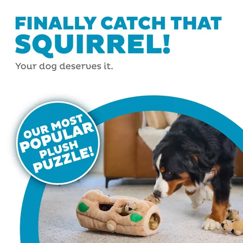 Outward Hound Hide A Squirrel 松鼠躲貓貓解謎玩具（棕／XL） 2