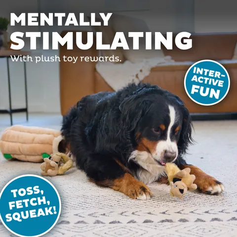 Outward Hound Hide A Squirrel 松鼠躲貓貓解謎玩具（棕／XL） 4