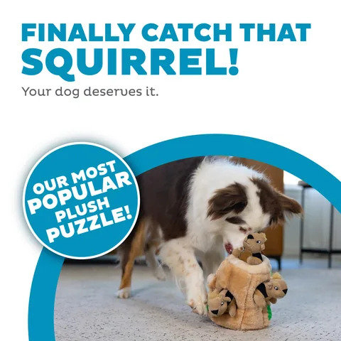 Outward Hound Hide A Squirrel 松鼠躲貓貓解謎玩具（棕／M） 2