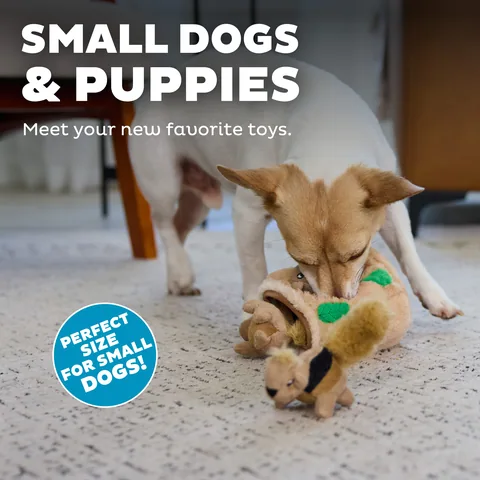 Outward Hound Squeakin' Squirrels 發聲松鼠玩具三入組（棕） 4