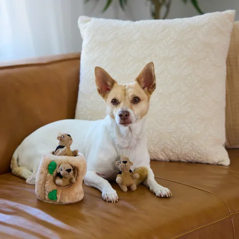 Outward Hound Squeakin' Squirrels 發聲松鼠玩具三入組（棕） 5